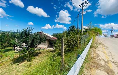 C21 PROJECT'DEN KANDIRA YOLU TOPLUCA MH. 1.650m2 SATILIK 