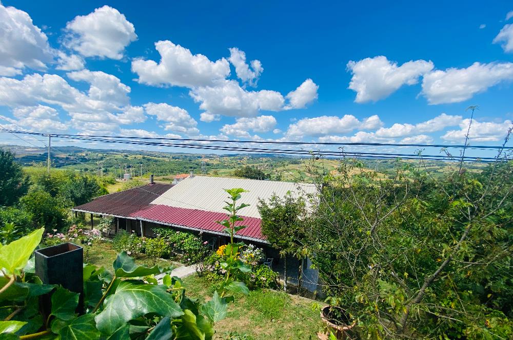 C21 PROJECT'DEN KANDIRA YOLU TOPLUCA MH. 1.650m2 SATILIK 
