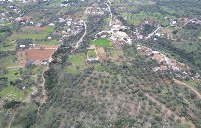 Bodrum Yalıçiftlik'te Satılık Fırsat İmarlı Arsa