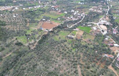 Bodrum Yalıçiftlik'te Satılık Fırsat İmarlı Arsa