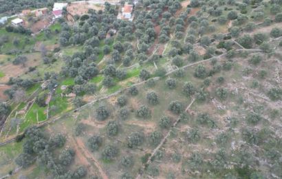 Bodrum Yalıçiftlik'te Satılık Fırsat İmarlı Arsa