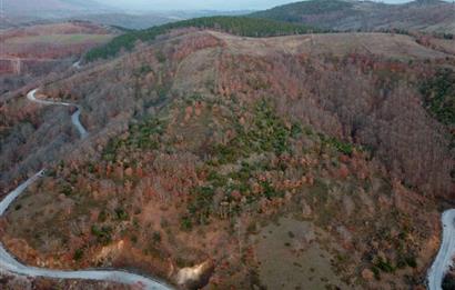 ÇANAKKALE KARADORUDA ASFALT CEPHELİ 4125 m2 TARLA