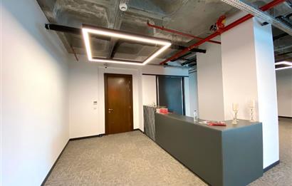 Porta Vadi Satılık 450m2+20m2 (Depolu) Ofis Vadistanbul