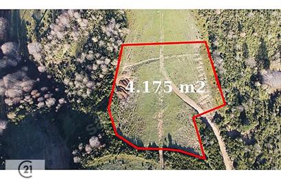 C21 Cius; Şahinyurdu Köyünde Satılık 4.175 m² Tarla