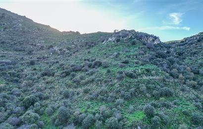 ORTAKENT YAHŞİ MALİKANELER BÖLGESİNDE PANORAMİK DENİZ VE DOĞA MANZARALI SATILIK TARLA