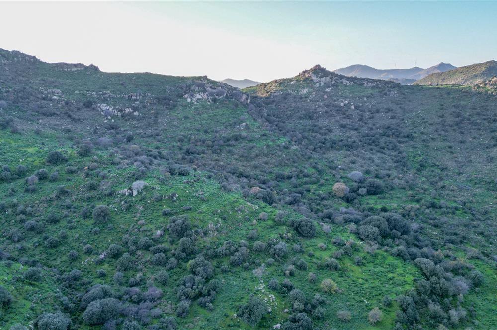 ORTAKENT YAHŞİ MALİKANELER BÖLGESİNDE PANORAMİK DENİZ VE DOĞA MANZARALI SATILIK TARLA