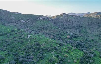 ORTAKENT YAHŞİ MALİKANELER BÖLGESİNDE PANORAMİK DENİZ VE DOĞA MANZARALI SATILIK TARLA