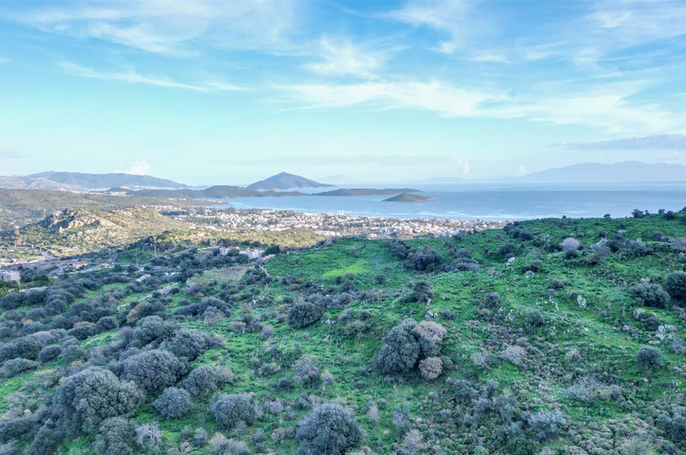 ORTAKENT YAHŞİ MALİKANELER BÖLGESİNDE PANORAMİK DENİZ VE DOĞA MANZARALI SATILIK TARLA