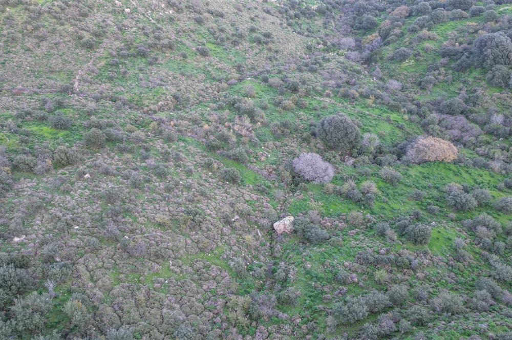 ORTAKENT YAHŞİ MALİKANELER BÖLGESİNDE PANORAMİK DENİZ VE DOĞA MANZARALI SATILIK TARLA