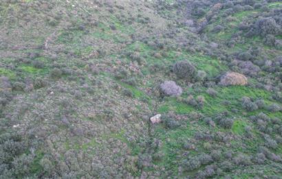 ORTAKENT YAHŞİ MALİKANELER BÖLGESİNDE PANORAMİK DENİZ VE DOĞA MANZARALI SATILIK TARLA