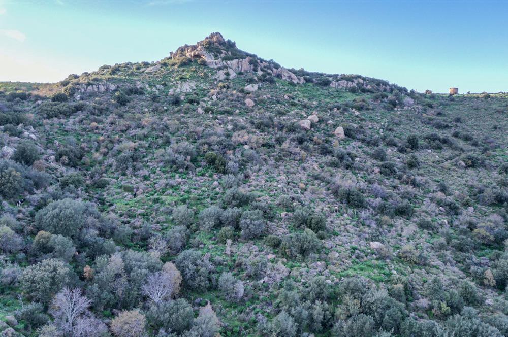 ORTAKENT YAHŞİ MALİKANELER BÖLGESİNDE PANORAMİK DENİZ VE DOĞA MANZARALI SATILIK TARLA