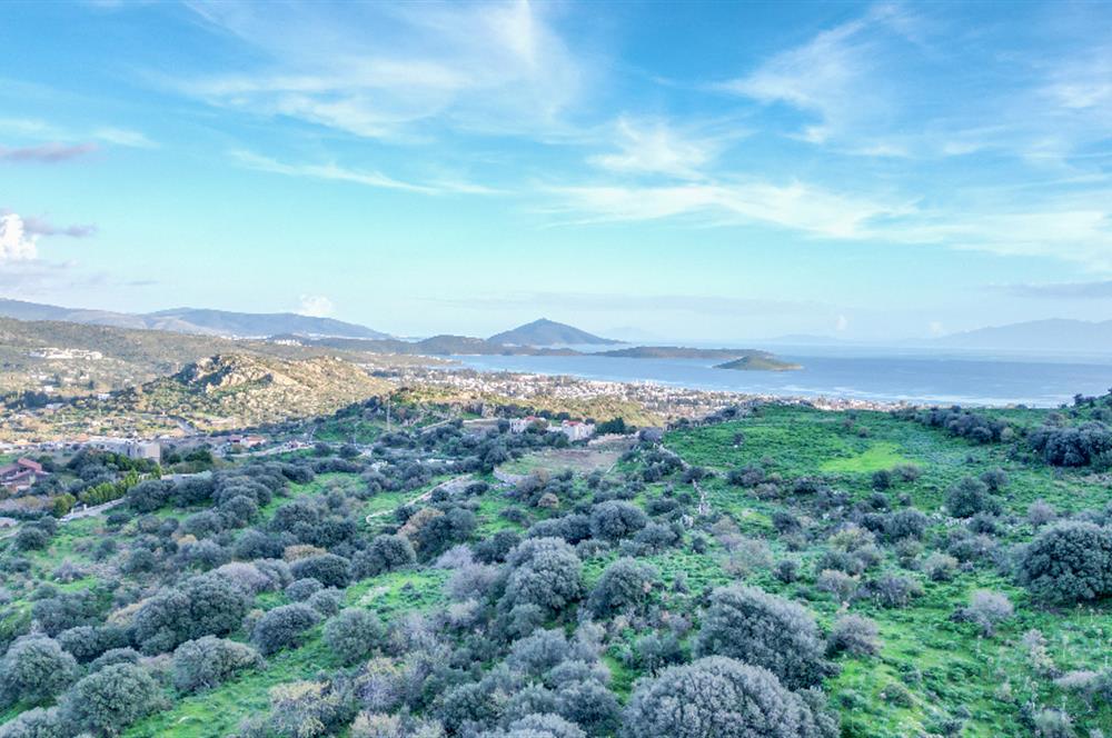 ORTAKENT YAHŞİ MALİKANELER BÖLGESİNDE PANORAMİK DENİZ VE DOĞA MANZARALI SATILIK TARLA