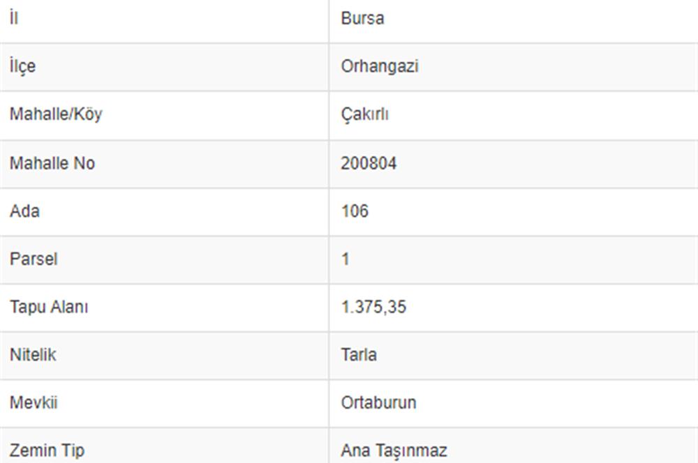 ÇAKIRLI'DA 1375m2 ZEYTİN AĞAÇLARI MEVCUT TARLA