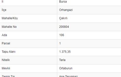 ÇAKIRLI'DA 1375m2 ZEYTİN AĞAÇLARI MEVCUT TARLA