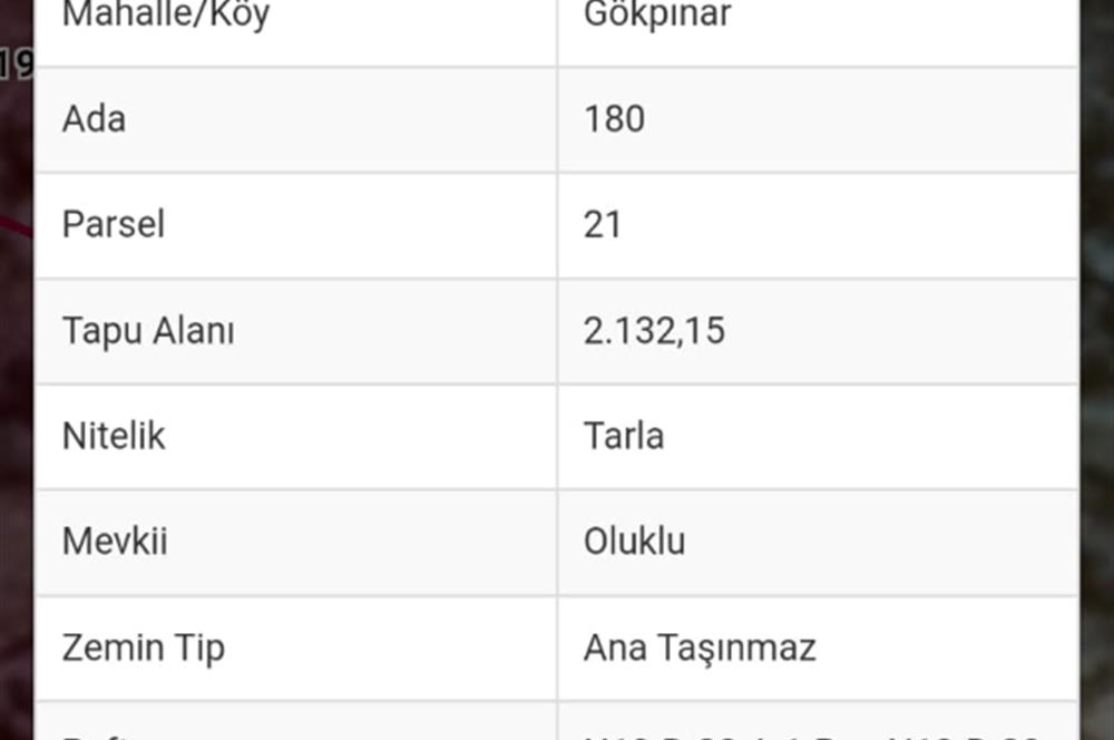 Mumcular Gökpınar'da Satılık Yatırımlık Tarla 2,132 m2