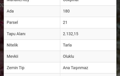 Mumcular Gökpınar'da Satılık Yatırımlık Tarla 2,132 m2