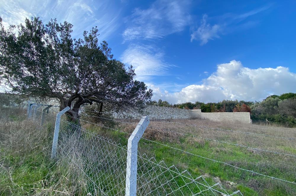 Urla Kekliktepe Mevkii Satılık Deniz Manzaralı Tarla