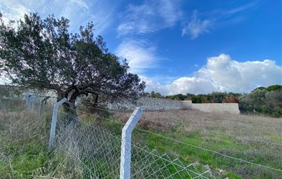 Urla Kekliktepe Mevkii Satılık Deniz Manzaralı Tarla