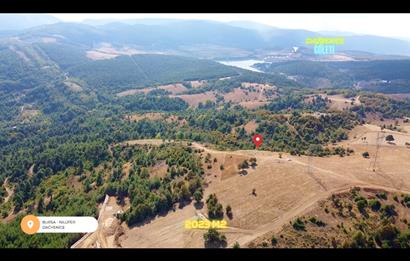 C21 NOVO'DAN DAĞYENİCEDE 2023 M2 SATILIK HİSSELİ ARAZİ