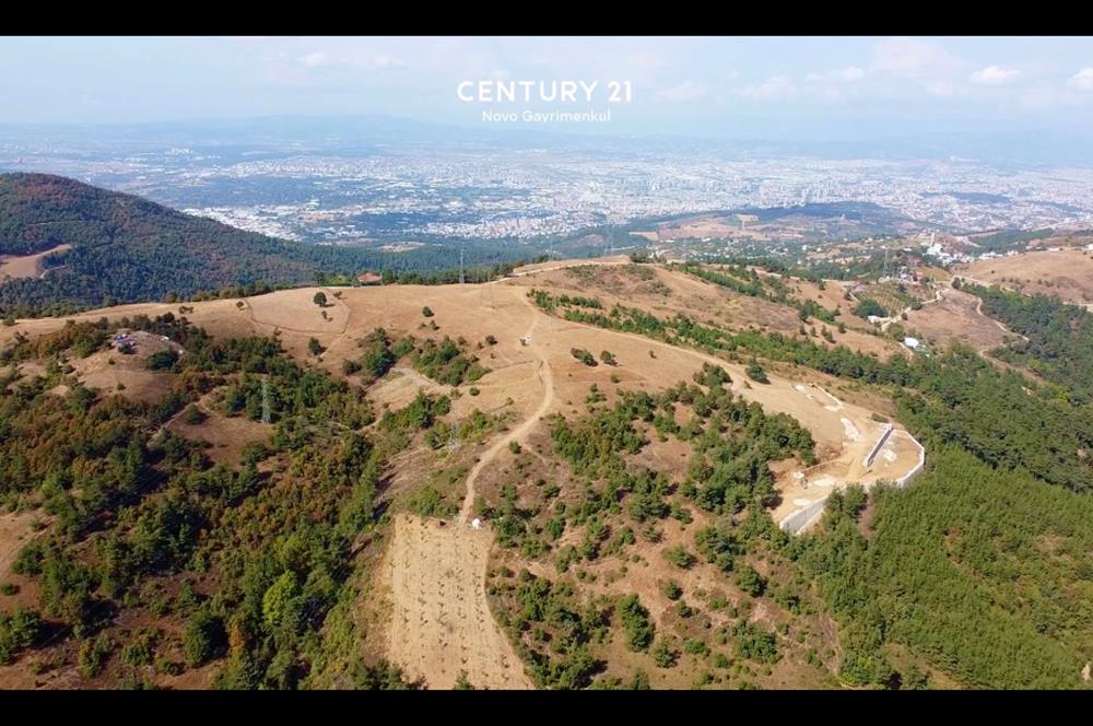 C21 NOVO'DAN DAĞYENİCEDE 2023 M2 SATILIK HİSSELİ ARAZİ