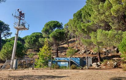 Burhaniye Hacıbozlar Asfaltı Üstünde Satılık 4813 m² Fıstıklık