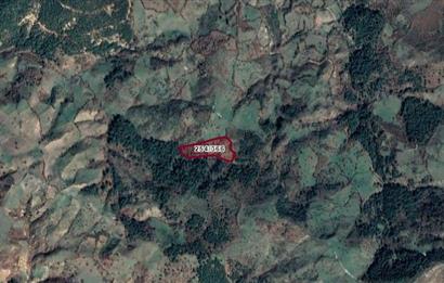 Havran Hallaçlar'da Satılık, Orman Sınırında, 27000 m² Tarla