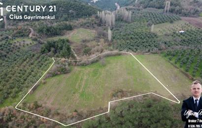 C21 Cius; Gençali'ye 1 Km Deniz Manzaralı 8.780m² Tarla