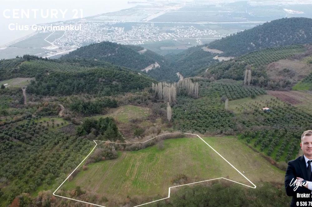 C21 Cius; Gençali'ye 1 Km Deniz Manzaralı 8.780m² Tarla