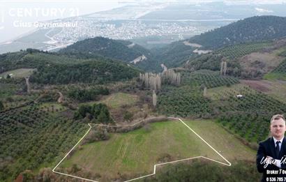 C21 Cius; Gençali'ye 1 Km Deniz Manzaralı 8.780m² Tarla