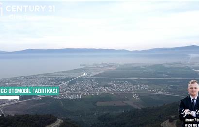 C21 Cius; Gençali'ye 1 Km Deniz Manzaralı 8.780m² Tarla