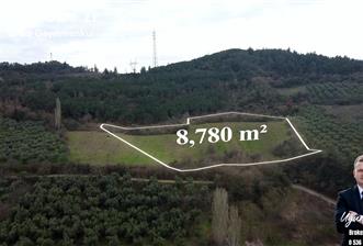 C21 Cius; Gençali'ye 1 Km Deniz Manzaralı 8.780m² Tarla