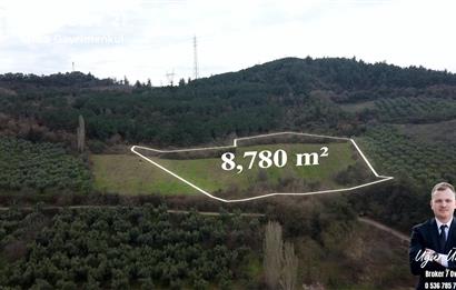 C21 Cius; Gençali'ye 1 Km Deniz Manzaralı 8.780m² Tarla