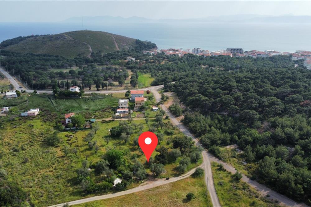 Ayvalık Badavut'ta Denize Yakın, Satılık Arsa