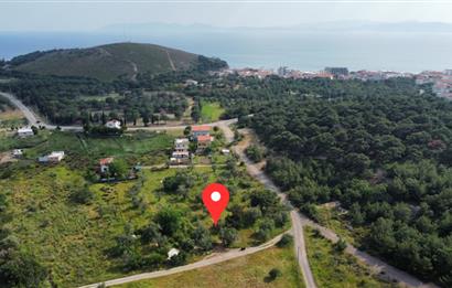 Ayvalık Badavut'ta Denize Yakın, Satılık Arsa