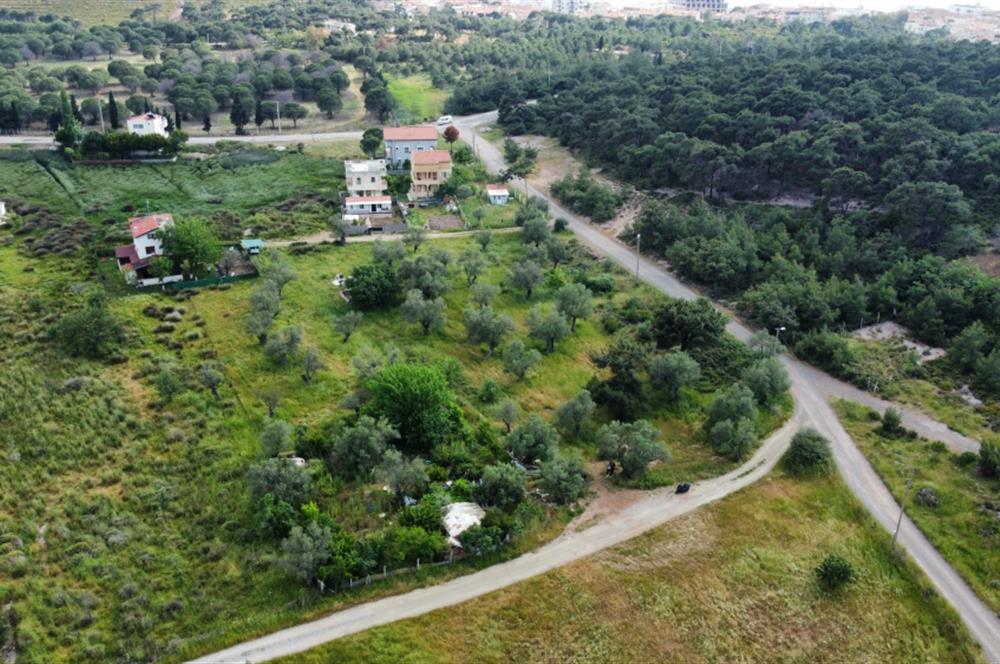 Ayvalık Badavut'ta Denize Yakın, Satılık Arsa