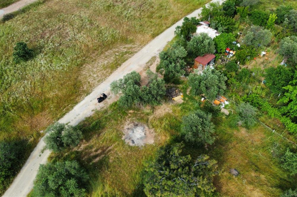 Ayvalık Badavut'ta Denize Yakın, Satılık Arsa