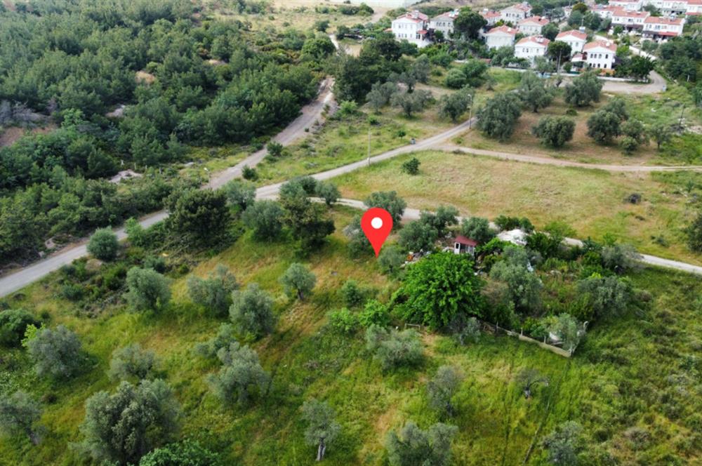 Ayvalık Badavut'ta Denize Yakın, Satılık Arsa