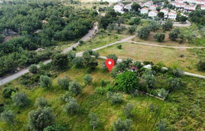 Ayvalık Badavut'ta Denize Yakın, Satılık Arsa