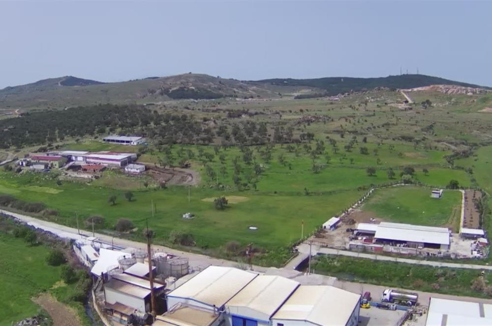 Ayvalık'ta Fabrika İçin Uygun, Satılık Sanayi İmarlı Arsa