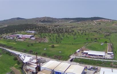Ayvalık'ta Fabrika İçin Uygun, Satılık Sanayi İmarlı Arsa