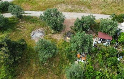 Ayvalık Badavut'ta Denize Yakın, Satılık Arsa
