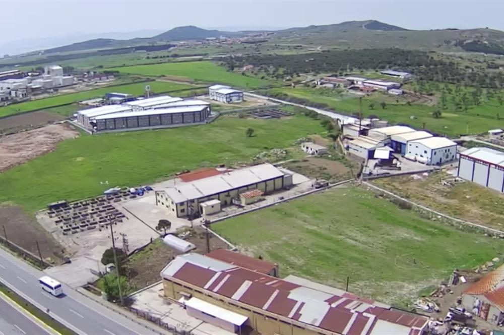 Ayvalık'ta Fabrika İçin Uygun, Satılık Sanayi İmarlı Arsa