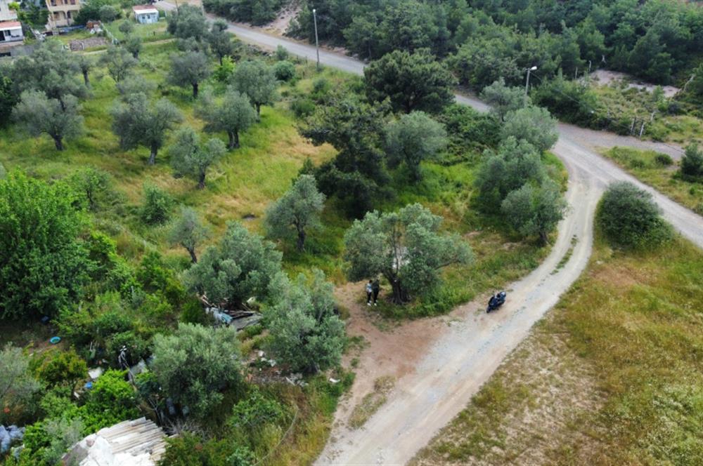 Ayvalık Badavut'ta Denize Yakın, Satılık Arsa