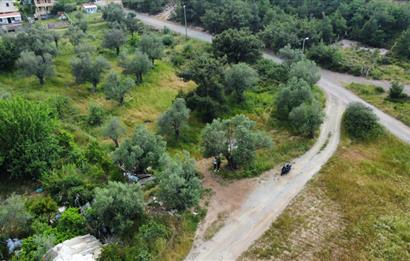 Ayvalık Badavut'ta Denize Yakın, Satılık Arsa