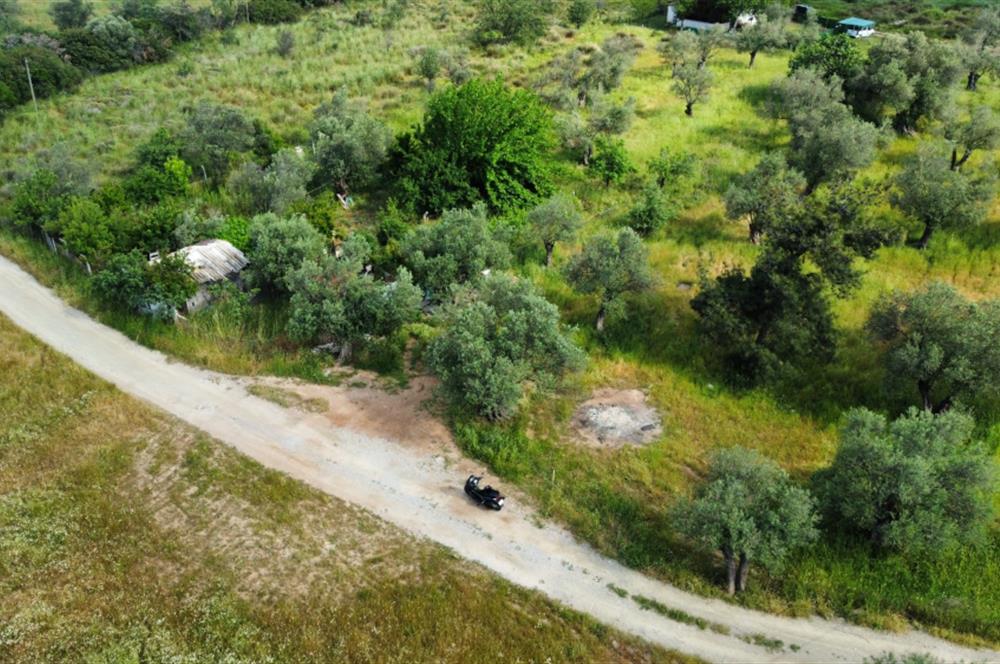 Ayvalık Badavut'ta Denize Yakın, Satılık Arsa