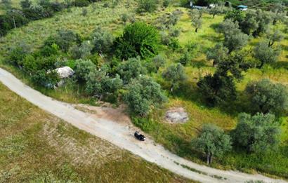 Ayvalık Badavut'ta Denize Yakın, Satılık Arsa