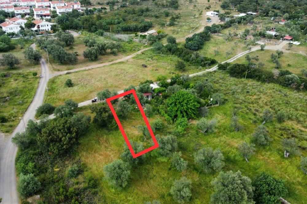 Ayvalık Badavut'ta Denize Yakın, Satılık Arsa