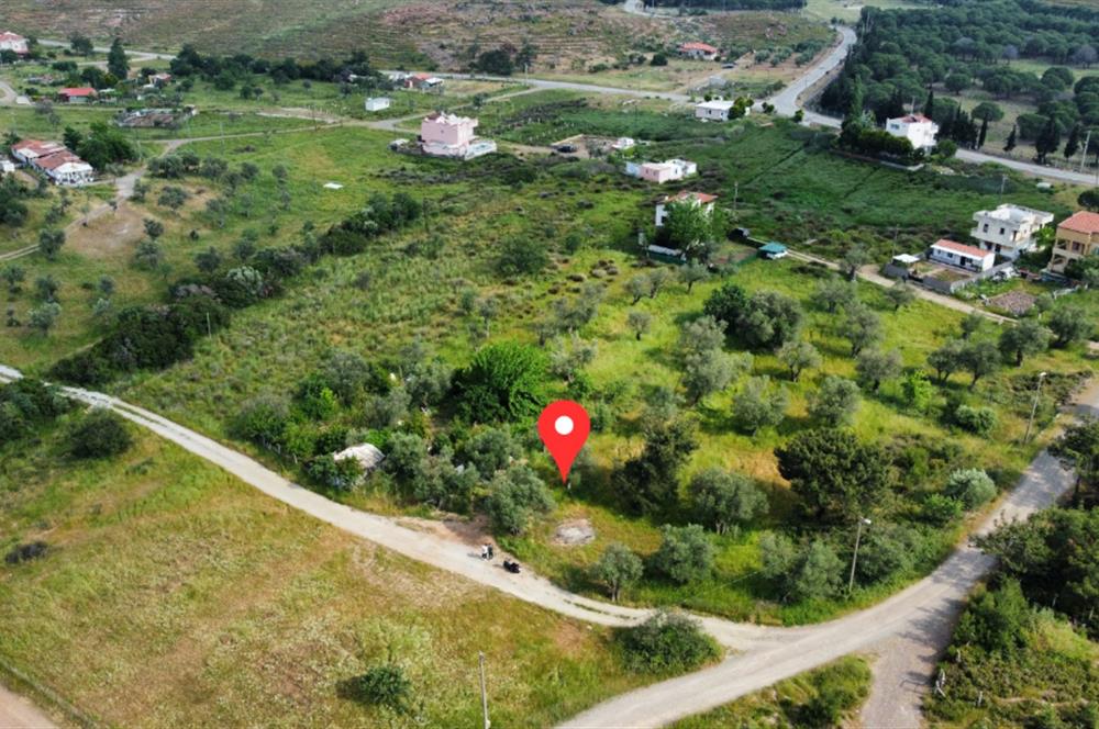 Ayvalık Badavut'ta Denize Yakın, Satılık Arsa