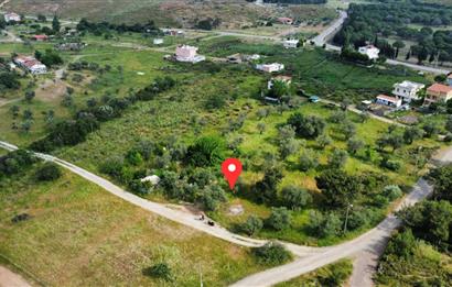 Ayvalık Badavut'ta Denize Yakın, Satılık Arsa