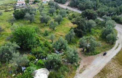 Ayvalık Badavut'ta Denize Yakın, Satılık Arsa